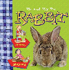 Me and My Pet Rabbit
